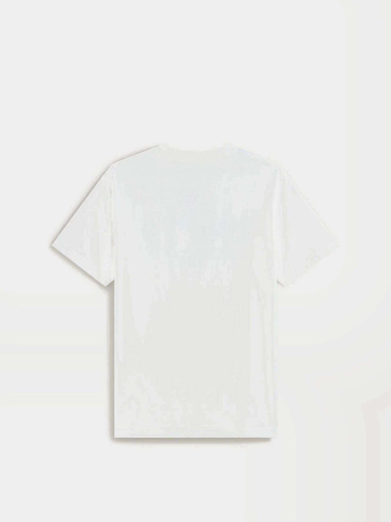 Футболки и поло Vans BEVEL FLAME SS TEE модель VN000SXBWHT1 Фото