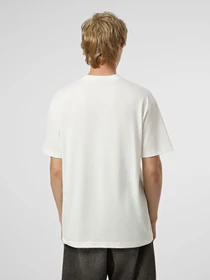 Футболки и поло Vans BEVEL FLAME SS TEE модель VN000SXBWHT1 Фото