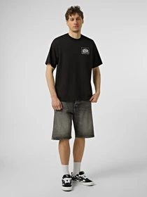 Футболки і поло Vans BRIGHT DAY SS TEE модель VN000TRGBLK1 Фото