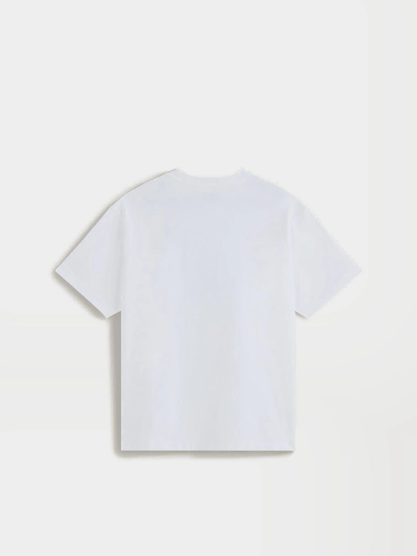 Футболки и поло Vans COMMITMENT 4 DUMMIES LOOSE  SS модель VN000VY5WHT1 Фото