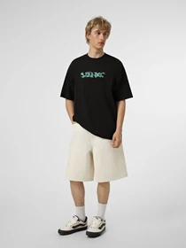 Футболки и поло Vans DECKLITHE SS TEE модель VN000SXTBLK1 Фото
