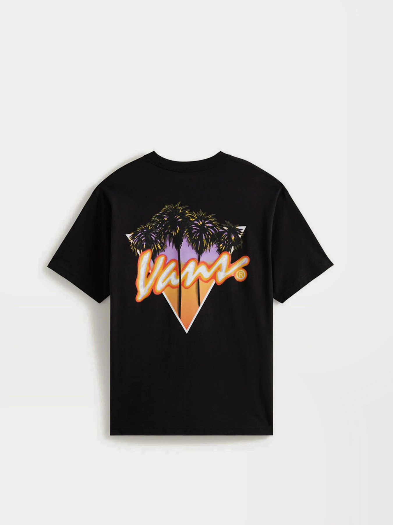 Футболки и поло Vans PALM DRIVE SS TEE модель VN000SXEBLK1 Фото