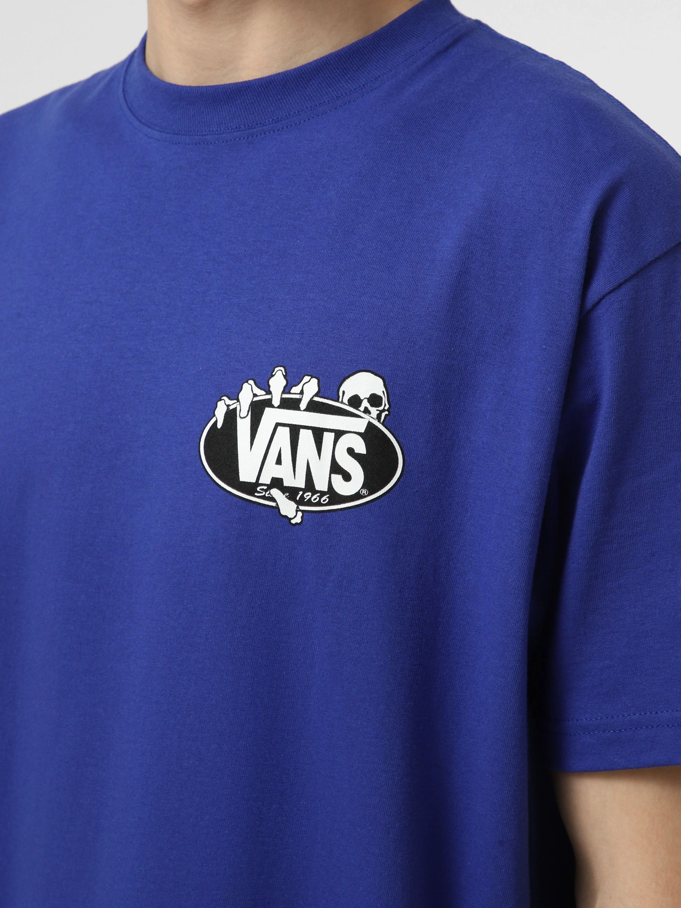 Футболки і поло Vans SHOW OFF SS TEE модель VN000SWTFRX1 Фото