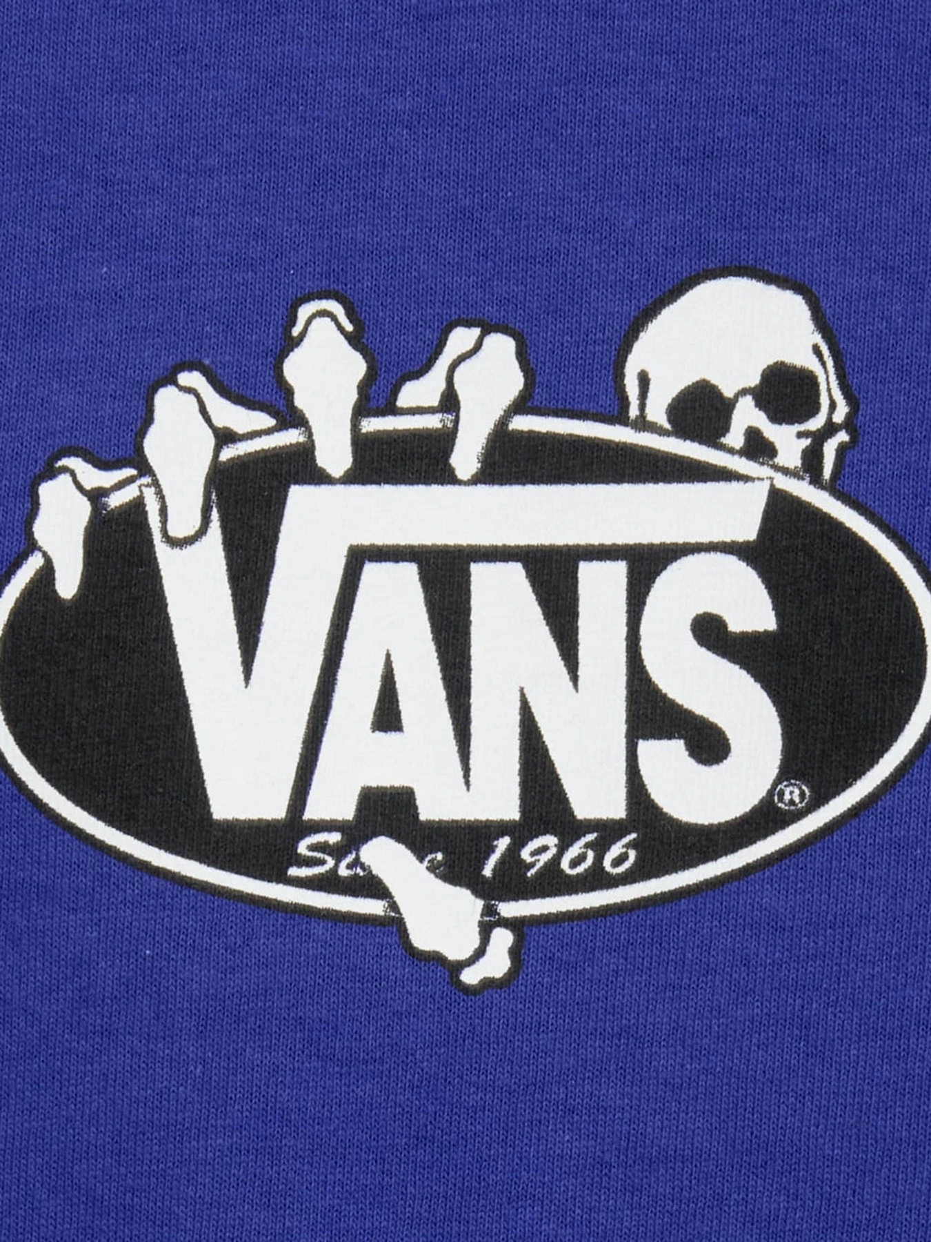 Футболки і поло Vans SHOW OFF SS TEE модель VN000SWTFRX1 Фото