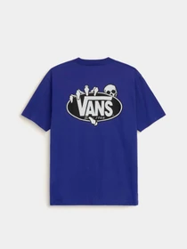 Футболки і поло Vans SHOW OFF SS TEE модель VN000SWTFRX1 Фото