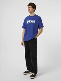 Футболки і поло Vans VANS CLASSIC SS TEE модель VN000RA1FRX1 Фото