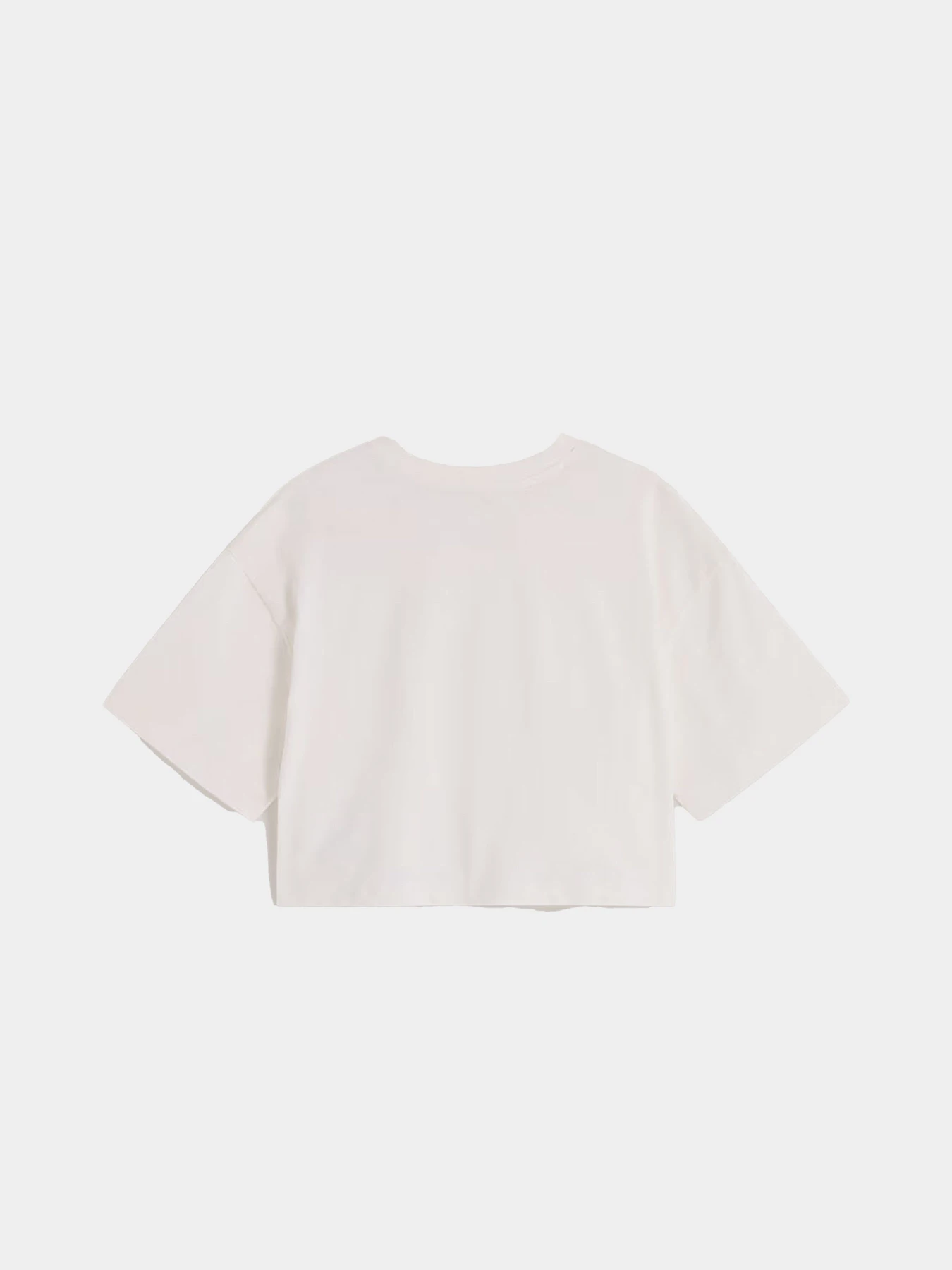 Футболки і поло Vans ELLIPSE RELAX CROP SS модель VN000XDWC9F1 Футболки і поло Vans ELLIPSE RELAX CROP SS модель VN000XDWC9F1 Фото