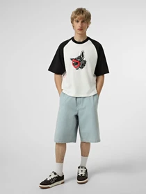Футболки и поло Vans LX DAYANA DOG FACE SHORT SS TE модель VN000S1CWHT1 Фото