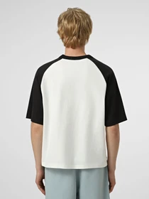 Футболки и поло Vans LX DAYANA DOG FACE SHORT SS TE модель VN000S1CWHT1 Фото