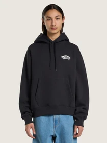 Худи и свитшоты Vans DOUBLE STANDARD PULLOVER модель VN00105KY281 Фото