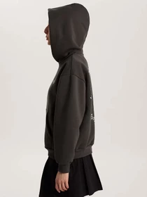 Худи и свитшоты Vans DREAMS SPILL PULLOVER модель VN0010DYEMV1 Фото