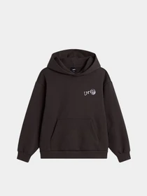 Худи и свитшоты Vans DREAMS SPILL PULLOVER модель VN0010DYEMV1 Фото