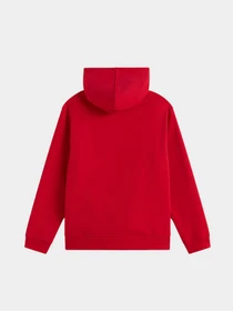 Худі та світшоти Vans CRUISER HOODIE модель VN00103YIZQ1 Фото