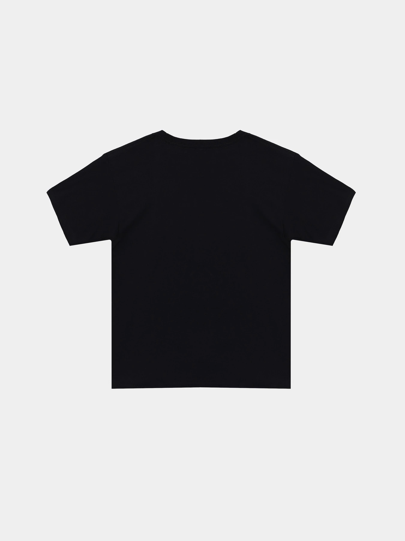 Футболки и поло Vans CLASSIC DROP V SS CREW TEE-B модель VN000KRYY281 Футболки и поло Vans CLASSIC DROP V SS CREW TEE-B модель VN000KRYY281 Фото