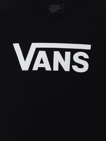 Футболки и поло Vans CLASSIC DROP V SS CREW TEE-B модель VN000KRYY281 Фото