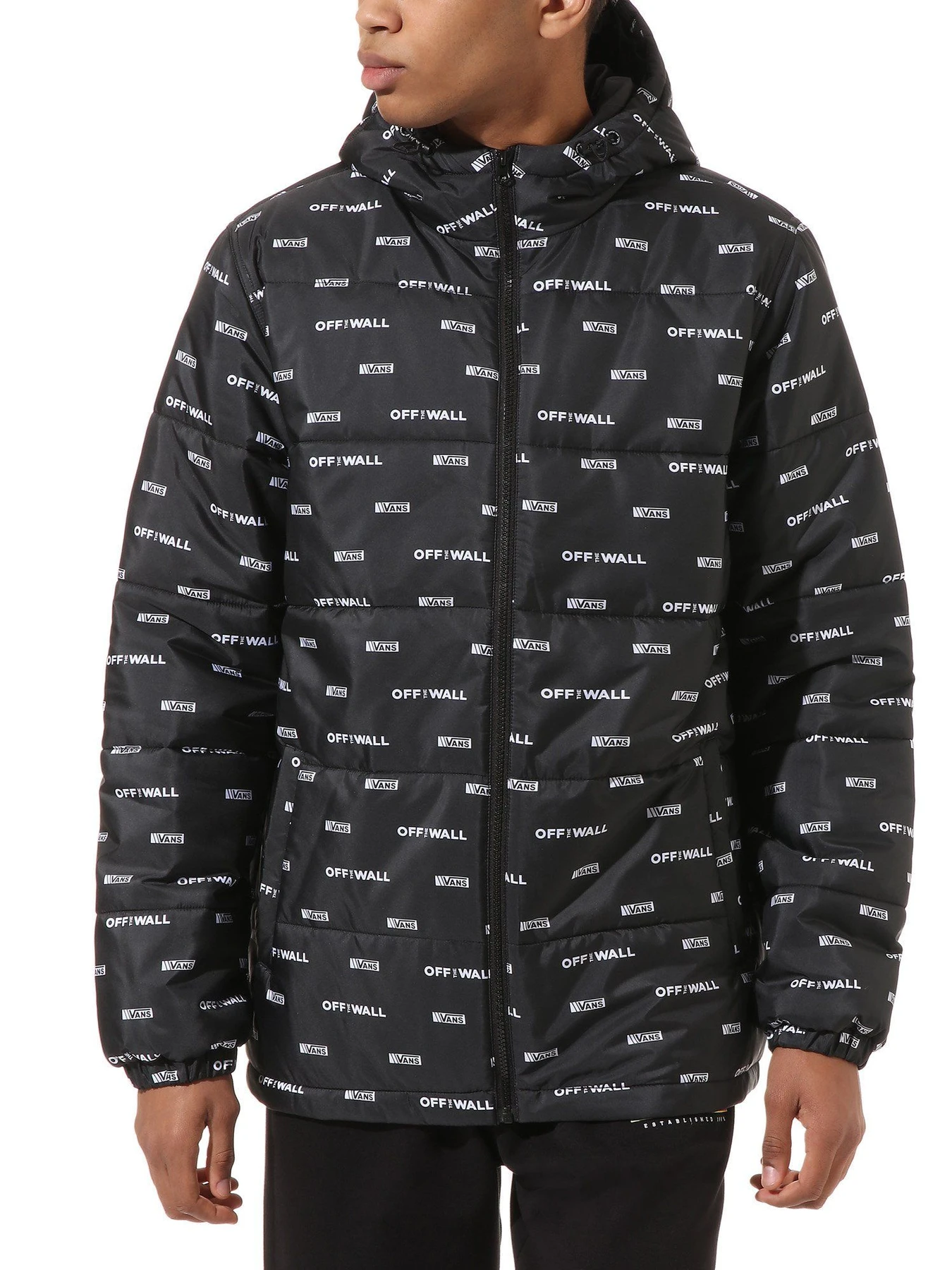 Куртки и дубленки Vans Woodridge DNA модель VN0A45AZZMI1 Куртки и дубленки Vans Woodridge DNA модель VN0A45AZZMI1 Фото