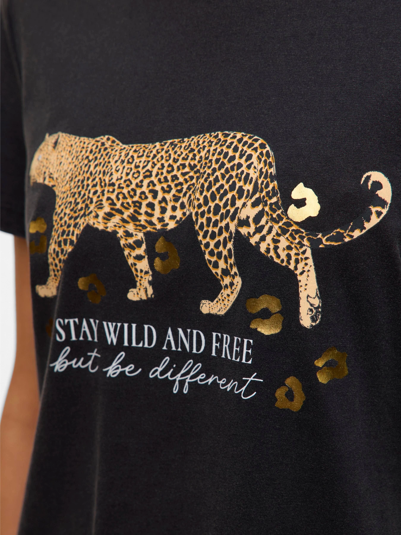 Футболки і поло Vero Moda FEO S/S O-NECK T-SHIRT модель 10332807_Black ACID WASH W. GOLD TI Футболки і поло Vero Moda FEO S/S O-NECK T-SHIRT модель 10332807_Black ACID WASH W. GOLD TI Фото