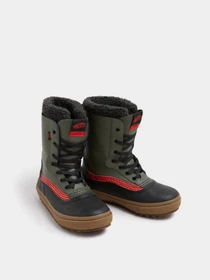 Ботинки и сапоги Vans MTE Standard Waterproof модель VN000D2D17P1 Фото