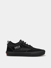 Кеды Vans Skate Safe Low модель VN000EEHBKA1 Фото
