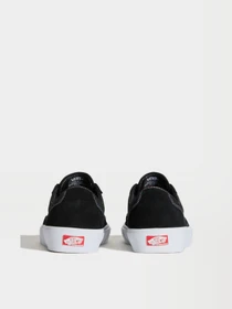 Кеды Vans SKATE CURREN CAPLES модель VN000D85BZW1 Фото
