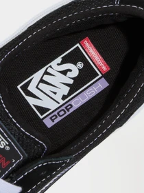 Кеды Vans SKATE CURREN CAPLES модель VN000D85BZW1 Фото