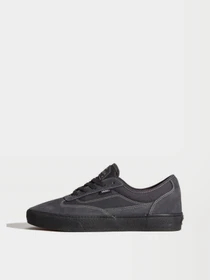 Кеды Vans SKATE CURREN CAPLES модель VN000D85CC81 Фото