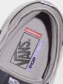 Кеды Vans SKATE ROWLEY модель VN000DA25TC1 Фото