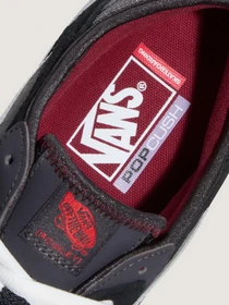 Кеды Vans SKATE ROWLEY модель VN000DA2BA51 Фото