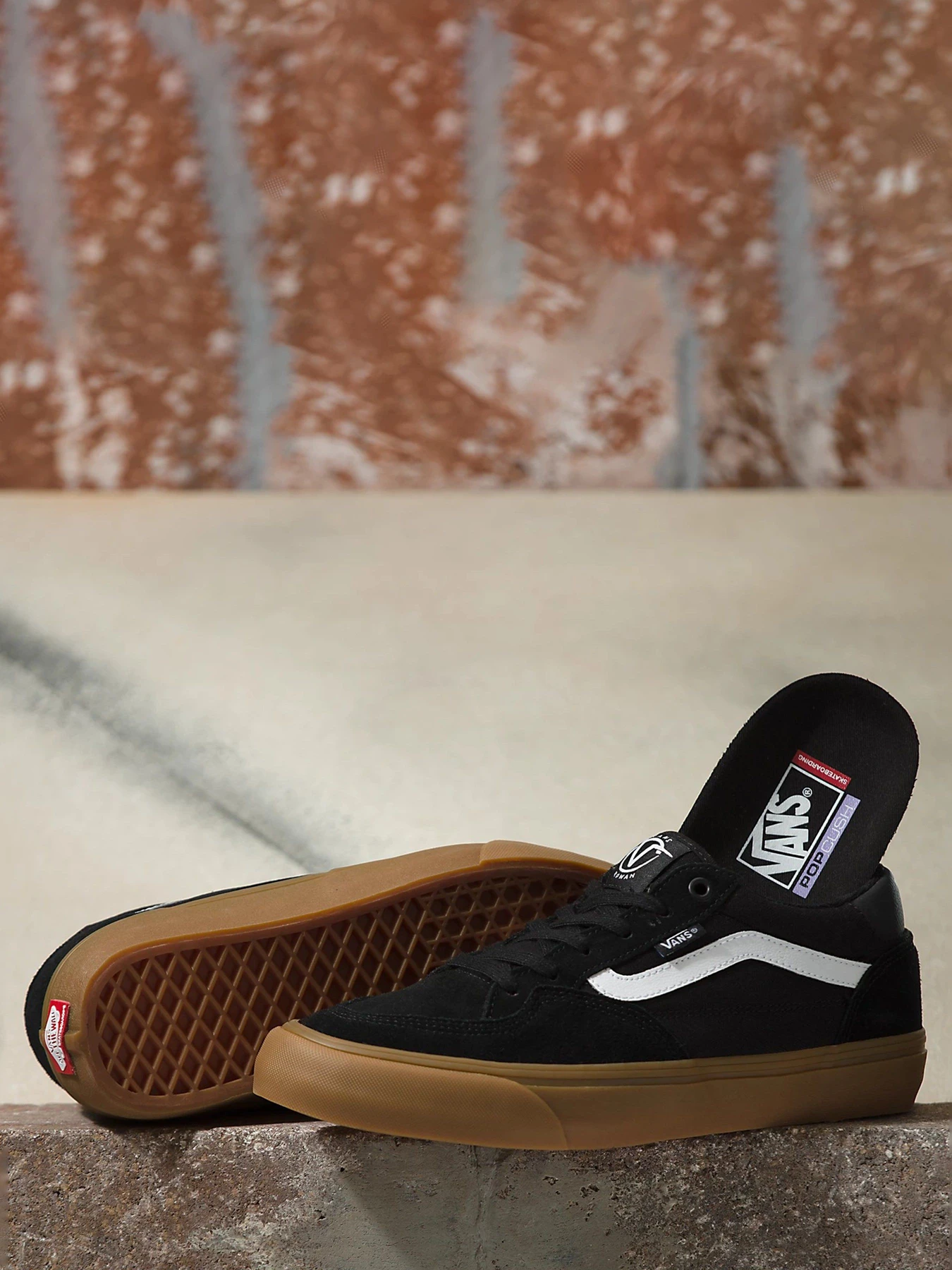 Кеди Vans  Rowan Zorilla модель VN0A5JICB9M1 Фото
