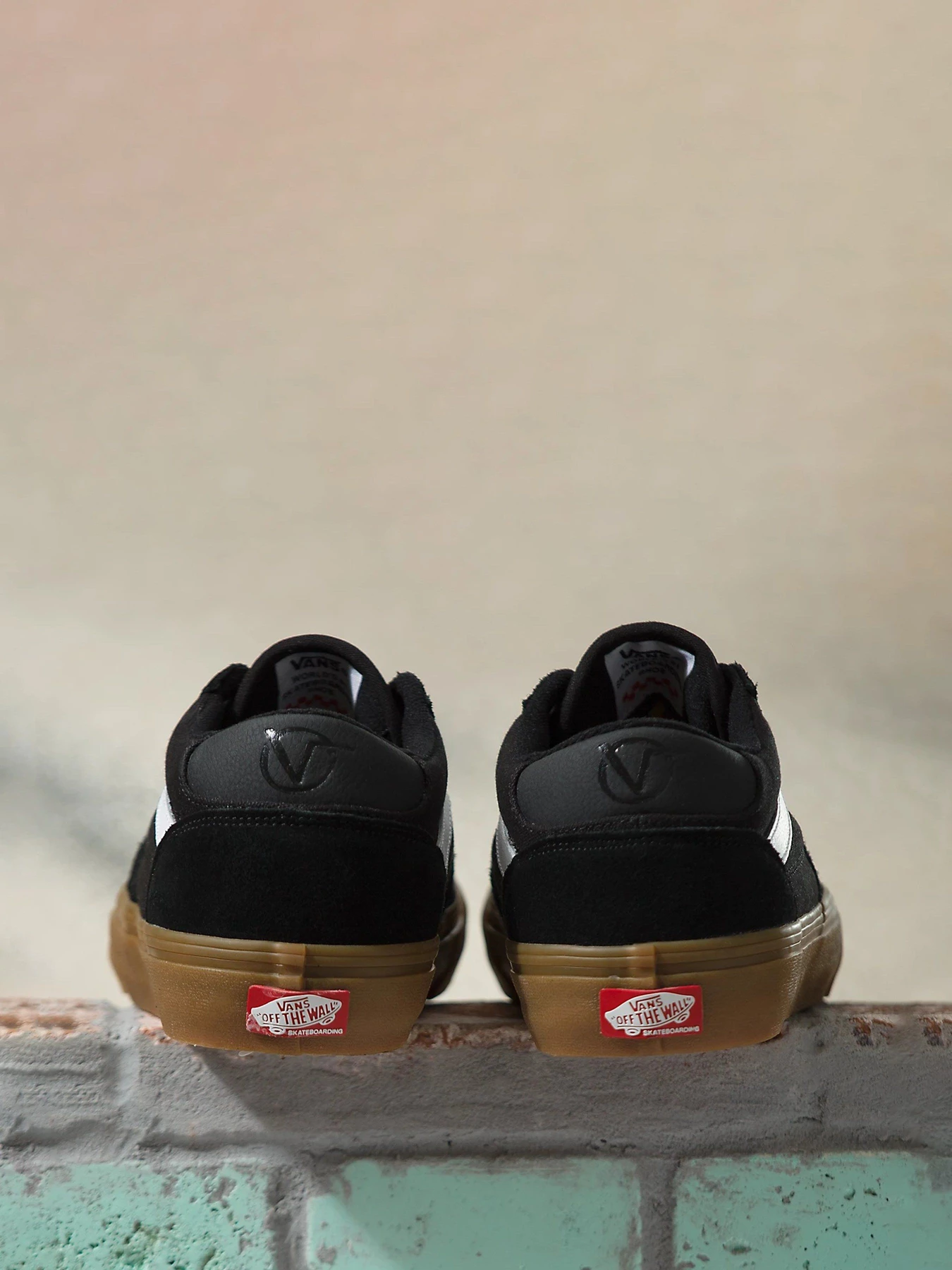 Кеди Vans  Rowan Zorilla модель VN0A5JICB9M1 Фото