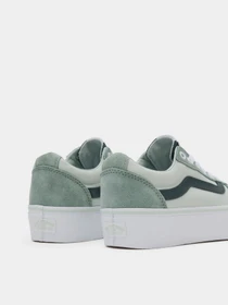 Кеди Vans Ward Platform модель VN0A3TLCBHJ1 Фото