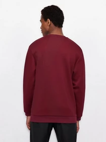 Худи и свитшоты Armani Exchange модель 6KZMFA-ZJY1Z-6452 Фото