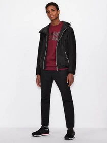 Худи и свитшоты Armani Exchange модель 6KZMFA-ZJY1Z-6452 Фото