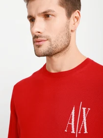 Свитры и кардиганы Armani Exchange модель 8NZM4R-ZM8AZ-1496 Фото