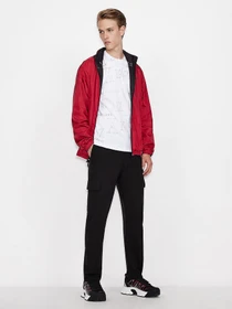 Футболки и поло Armani Exchange модель 6KZTFW-ZJ1DZ-2190 Фото