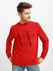 Худи и свитшоты Armani Exchange модель 8NZMPD-ZJ1ZZ-1496 Фото