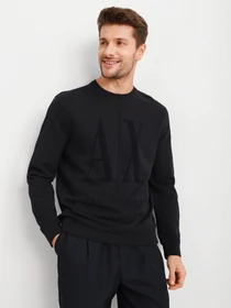 Худи и свитшоты Armani Exchange модель 8NZMPD-ZJ1ZZ-1510 Фото