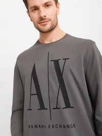 Худи и свитшоты Armani Exchange модель 8NZMPD-ZJ1ZZ-1965 Фото