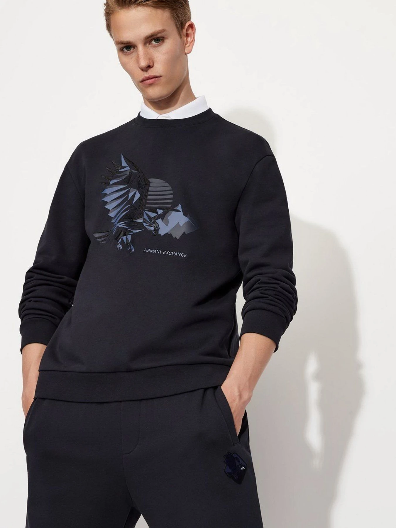 Худи и свитшоты Armani Exchange модель 6KZMFU-ZJ2RZ-1510 Худи и свитшоты Armani Exchange модель 6KZMFU-ZJ2RZ-1510 Фото