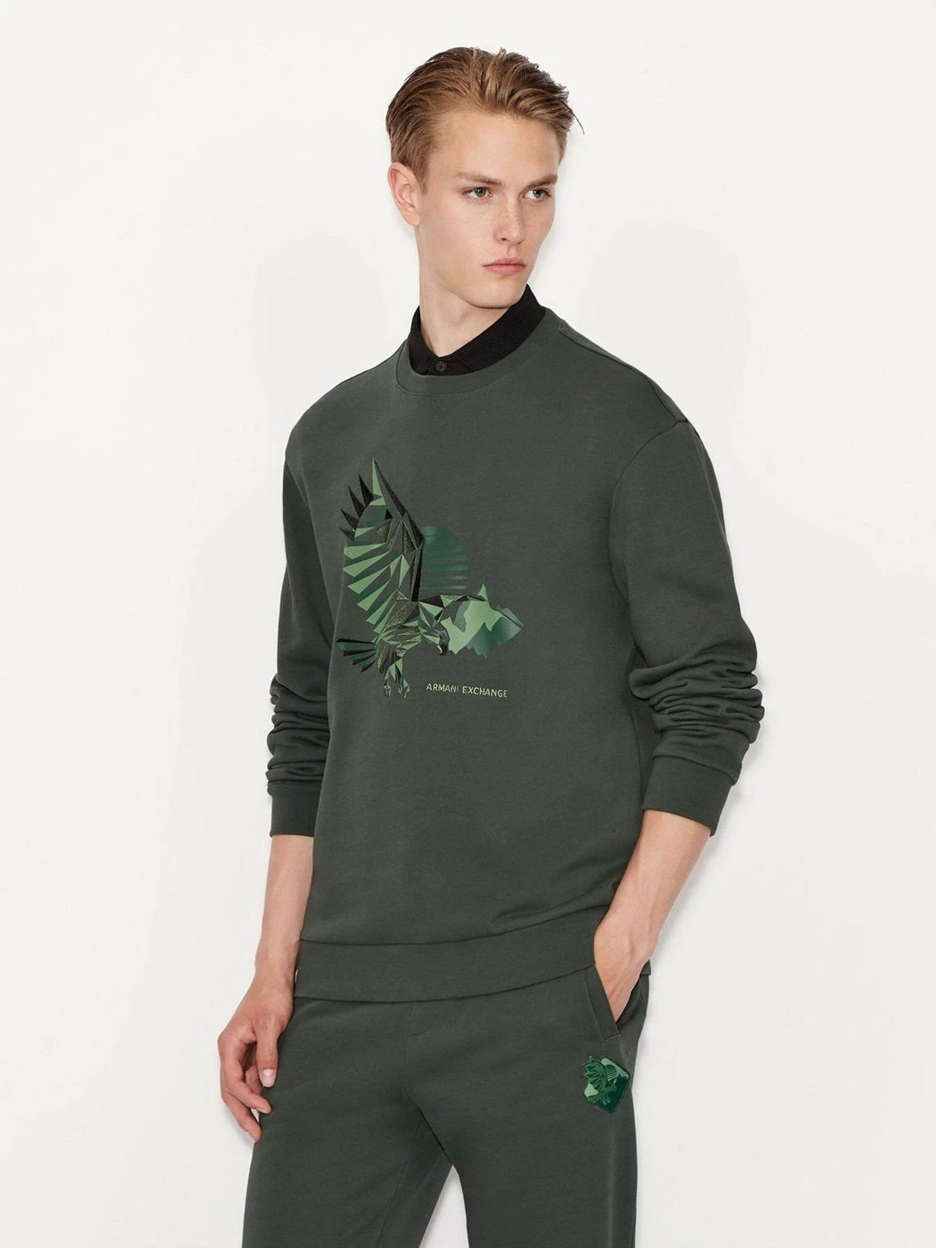 Худи и свитшоты Armani Exchange модель 6KZMFU-ZJ2RZ-1863 Худи и свитшоты Armani Exchange модель 6KZMFU-ZJ2RZ-1863 Фото
