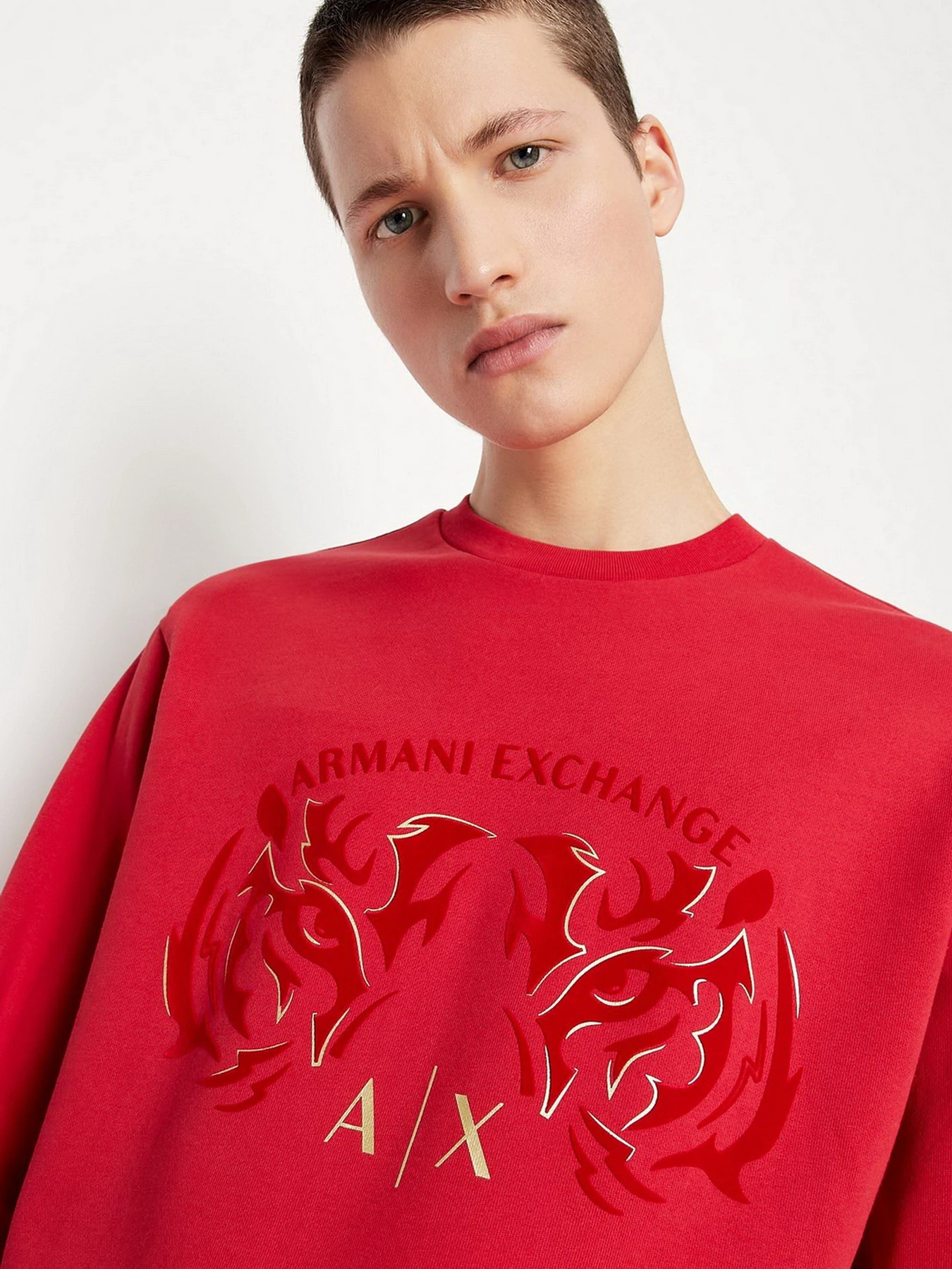 Худи и свитшоты Armani Exchange модель 3LZMGG-ZJ1ZZ-1435 Худи и свитшоты Armani Exchange модель 3LZMGG-ZJ1ZZ-1435 Фото