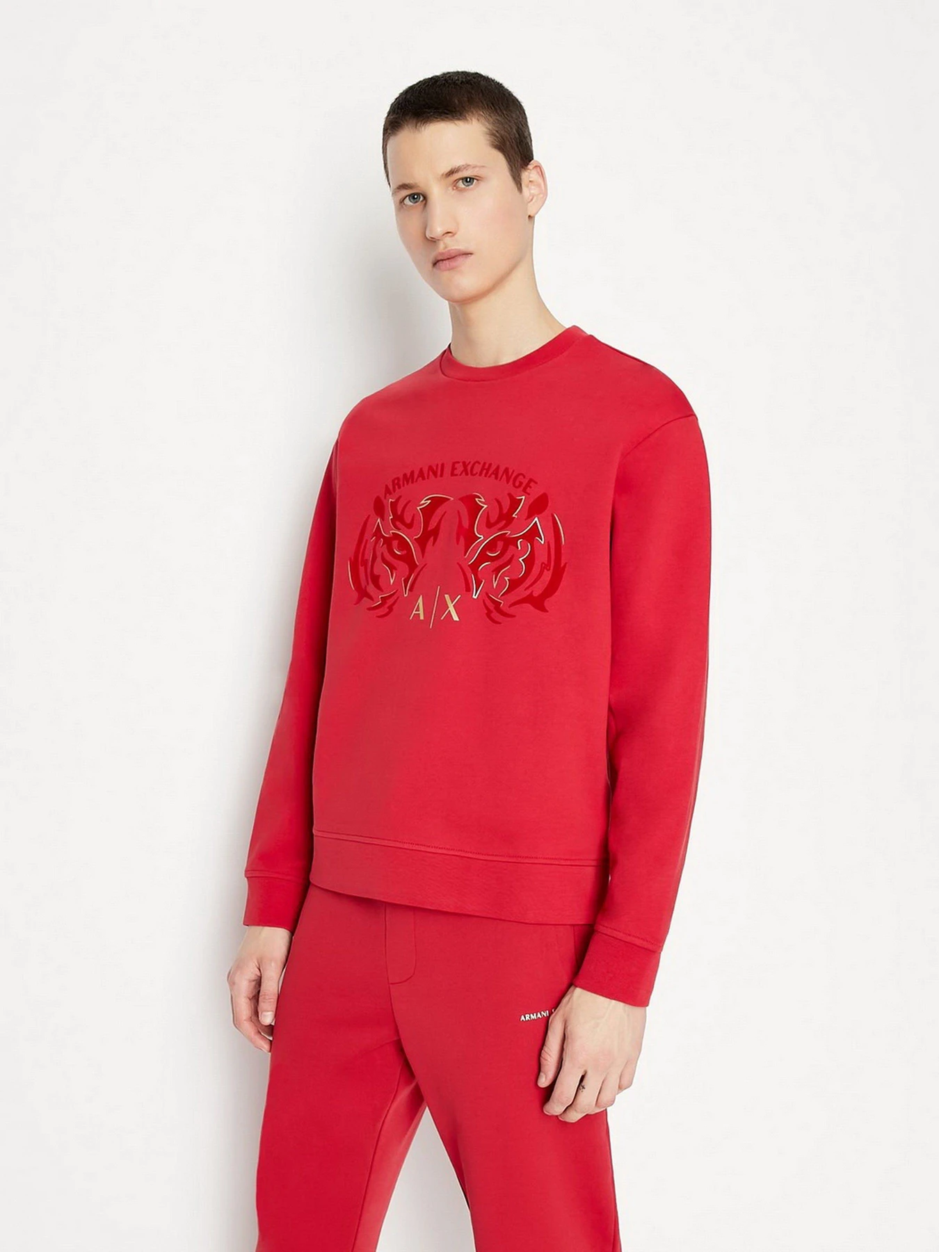 Худи и свитшоты Armani Exchange модель 3LZMGG-ZJ1ZZ-1435 Худи и свитшоты Armani Exchange модель 3LZMGG-ZJ1ZZ-1435 Фото