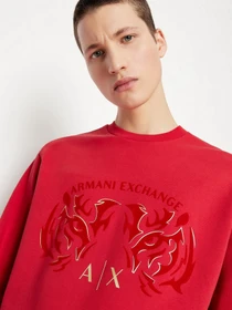 Худи и свитшоты Armani Exchange модель 3LZMGG-ZJ1ZZ-1435 Фото