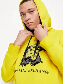Худи и свитшоты Armani Exchange модель 3LZMAQ-ZJ5UZ-1683 Фото