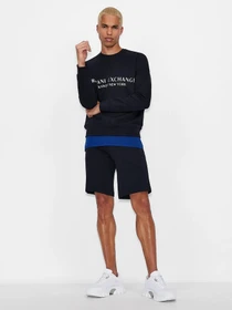 Шорты Armani Exchange модель 8NZS75-ZJKRZ-1510 Фото