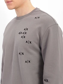Худи и свитшоты Armani Exchange модель 6LZMAS-ZJBWZ-1979 Фото