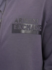 Худи и свитшоты Armani Exchange модель 6LZMBF-ZJCAZ-1978 Фото