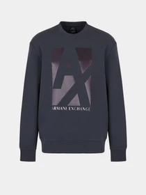Худи и свитшоты Armani Exchange модель 6LZMHB-ZJXBZ-1978 Фото