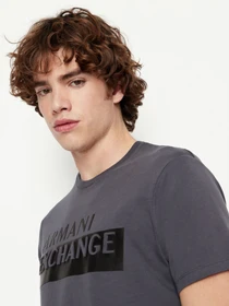 Футболки і поло Armani Exchange модель 6LZTBE-ZJGCZ-1510 Фото