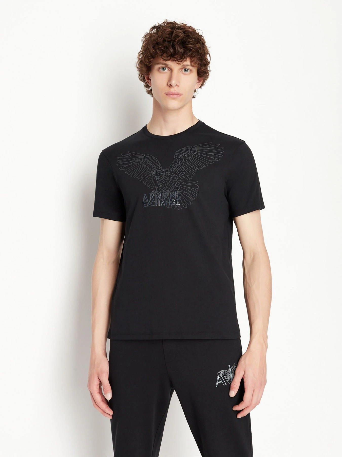 Футболки и поло Armani Exchange модель 6LZTHL-ZJ5LZ-1200 Футболки и поло Armani Exchange модель 6LZTHL-ZJ5LZ-1200 Фото